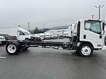 New 2024 Chevrolet LCF 5500HG Regular Cab 4x2, Cab Chassis for sale #F1765 - photo 6