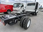 New 2025 Chevrolet LCF 3500 Crew Cab 4x2, Cab Chassis for sale #F2271 - photo 2