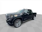 New 2024 GMC Sierra 1500 Denali Crew Cab 4x4, Pickup for sale #45858 - photo 5