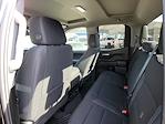 Used 2024 Chevrolet Silverado 1500 Custom Double Cab 4WD, Pickup for sale #RZ115541T - photo 12