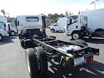 New 2024 Isuzu NRR Regular Cab 4x2, Cab Chassis for sale #240409 - photo 2