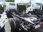 New 2024 Isuzu NPR-HD Regular Cab 4x2, Cab Chassis for sale #240590 - photo 2