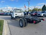 New 2024 Ford F-600 Regular Cab 4x2, 16' 5" Summit Truck Bodies Box Truck for sale #24DC123 - photo 49