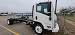 2024 Chevrolet LCF 5500XG Regular Cab RWD, Cab Chassis for sale #540849 - photo 1