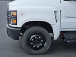 New 2022 Chevrolet Silverado 5500 Work Truck Crew Cab RWD, Service Truck for sale #222920 - photo 7