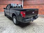 2024 Ford F-150 Super Cab 4x4, Pickup for sale #240237 - photo 5