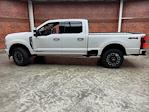 New 2024 Ford F-250 Platinum Crew Cab 4x4, Pickup for sale #240401 - photo 3