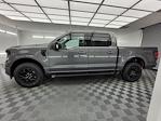 New 2024 Ford F-150 XLT SuperCrew Cab 4x4, Pickup for sale #EK10089 - photo 6