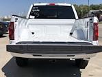 New 2024 Ford F-150 XLT SuperCrew Cab 4x4, Pickup for sale #EK10167 - photo 19