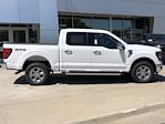 New 2024 Ford F-150 XLT SuperCrew Cab 4x4, Pickup for sale #EK10167 - photo 3