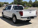 New 2024 Ford F-150 XLT SuperCrew Cab 4x4, Pickup for sale #EK10167 - photo 5