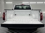 New 2024 Ford F-150 XL Regular Cab 4x2, Pickup for sale #EK10649 - photo 5