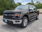 2024 Ford F-150 SuperCrew Cab 4WD, Pickup for sale #RFA89945 - photo 8