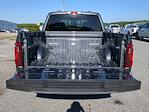 2024 Ford F-150 SuperCrew Cab RWD, Pickup for sale #RKD22431 - photo 9