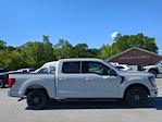 2024 Ford F-150 SuperCrew Cab RWD, Pickup for sale #RKD81726 - photo 7