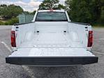 2024 Ford F-150 Regular Cab RWD, Pickup for sale #RKE39663 - photo 7