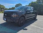 2024 Ford F-150 SuperCrew Cab RWD, Pickup for sale #RKE53839 - photo 6