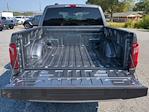 2024 Ford F-150 SuperCrew Cab RWD, Pickup for sale #RKE87248 - photo 14