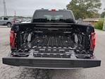 2024 Ford F-150 SuperCrew Cab RWD, Pickup for sale #RKE88285 - photo 11