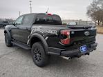 New 2024 Ford Ranger Raptor SuperCrew Cab 4WD, Pickup for sale #RLE71347 - photo 5