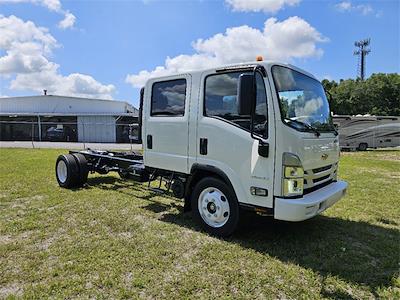 2024 Chevrolet LCF 4500HG Crew Cab 4x2, Cab Chassis for sale #F8664 - photo 1