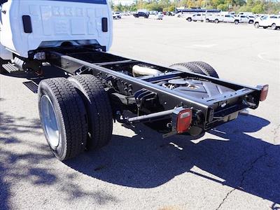 2024 Chevrolet Silverado 5500 Regular Cab DRW 4x2, Cab Chassis for sale #243907F - photo 2