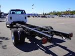 2024 Chevrolet Silverado 5500 Regular Cab DRW 4x2, Cab Chassis for sale #244178F - photo 17