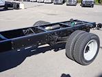 2024 Chevrolet Silverado 6500 Regular Cab DRW 4x2, Cab Chassis for sale #244246F - photo 15