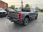 2024 Ford F-250 Crew Cab SRW 4WD, Pickup for sale #T24165 - photo 2