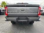 2024 Ford F-250 Crew Cab SRW 4WD, Pickup for sale #T24165 - photo 14