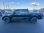 New 2024 Ford F-150 STX SuperCrew Cab 4WD, Pickup for sale #T24186 - photo 13