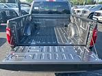 New 2024 Ford F-150 STX SuperCrew Cab 4WD, Pickup for sale #T24256 - photo 29