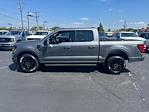 New 2024 Ford F-150 XLT SuperCrew Cab 4WD, Pickup for sale #T24311 - photo 12