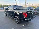 New 2024 Ford F-150 XLT SuperCrew Cab 4WD, Pickup for sale #T24312 - photo 2