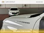 2024 Chevrolet Silverado 1500 Regular Cab 4WD, Pickup for sale #M36263 - photo 5