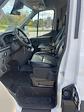 New 2024 Ford Transit 350 XL Medium Roof RWD, Passenger Van for sale #249077F - photo 8