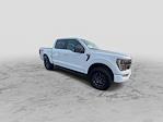 2023 Ford F-150 SuperCrew Cab 4WD, Pickup for sale #P333A1 - photo 14