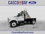 Used 2023 Ford F-750 Base Regular Cab RWD, Dump Truck for sale #P8089 - photo 19
