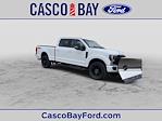 Used 2022 Ford F-250 Lariat Crew Cab 4WD, Pickup for sale #P830A - photo 14