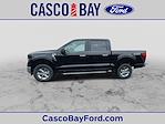 2024 Ford F-150 SuperCrew Cab 4x4, Pickup for sale #R250 - photo 17