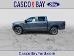 2024 Ford F-150 SuperCrew Cab 4x4, Pickup for sale #R482 - photo 30