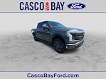 2024 Ford F-150 Lightning SuperCrew Cab 4x4, Pickup for sale #R498 - photo 27