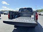 2024 Ford F-150 SuperCrew Cab 4x4, Pickup for sale #R609 - photo 23