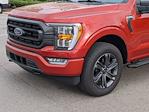 2023 Ford F-150 SuperCrew Cab 4WD, Pickup for sale #T381109A - photo 9