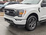 2023 Ford F-150 SuperCrew Cab 4WD, Pickup for sale #T381294 - photo 9