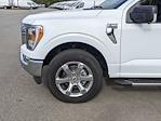 2023 Ford F-150 SuperCrew Cab 4WD, Pickup for sale #T381419 - photo 10