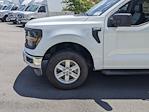 2024 Ford F-150 SuperCrew Cab 4WD, Pickup for sale #T480162 - photo 11