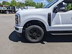 2024 Ford F-250 Crew Cab SRW 4WD, Pickup for sale #T480204 - photo 10