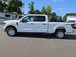 New 2024 Ford F-150 XL SuperCrew Cab 4WD, Pickup for sale #T480321 - photo 7