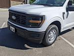 2024 Ford F-150 Regular Cab RWD, Pickup for sale #T480351 - photo 9